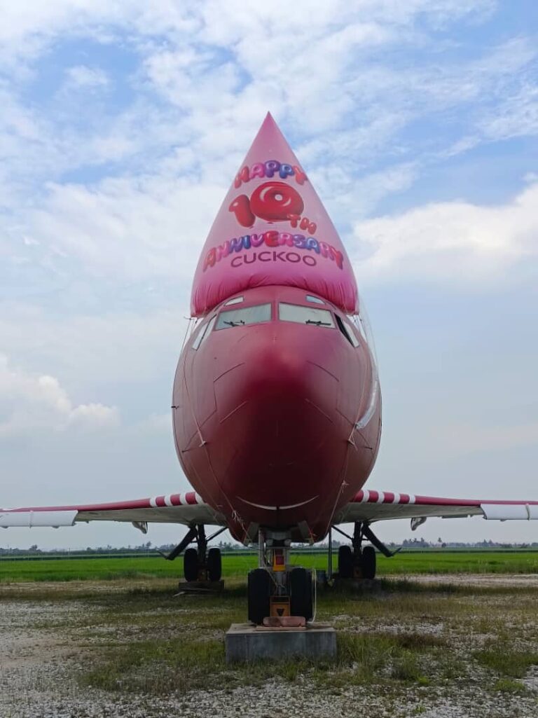 Belon Topi Pesta CUCKOO di atas Pesawat — photo 1