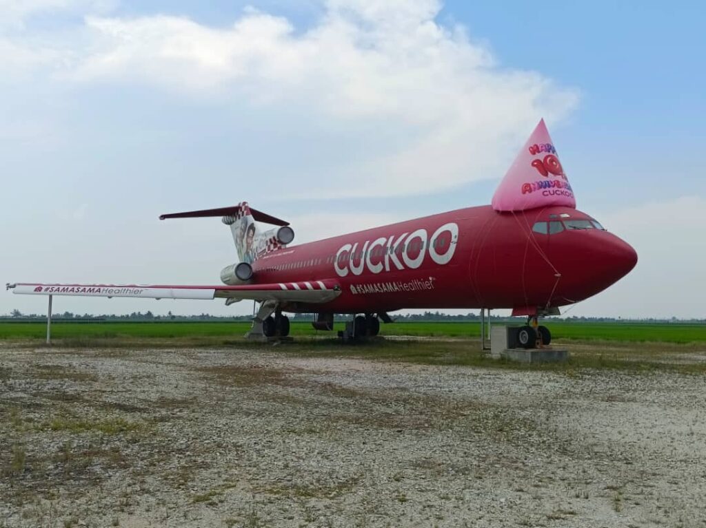 Belon Topi Pesta CUCKOO di atas Pesawat — photo 2
