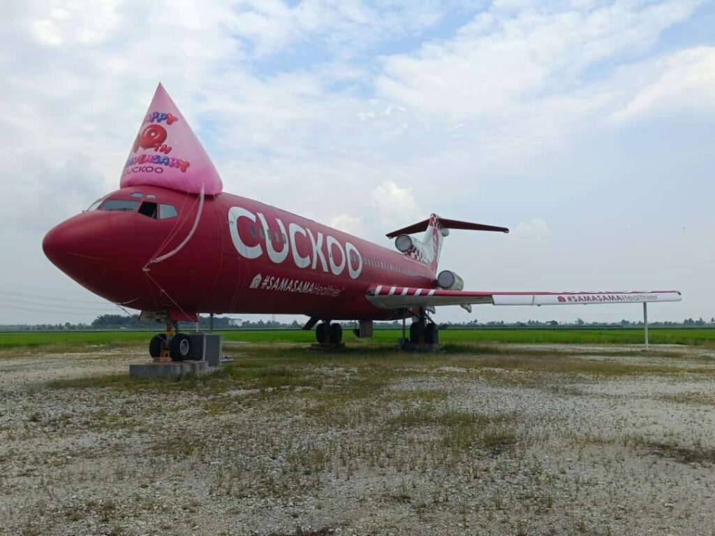 Belon Topi Pesta CUCKOO di atas Pesawat — photo 3