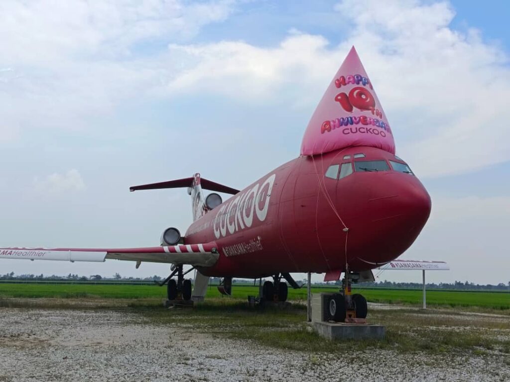 Belon Topi Pesta CUCKOO di atas Pesawat — photo 4
