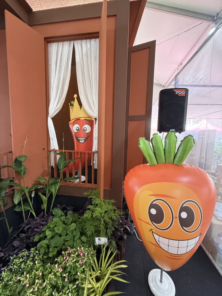 Vegetable Inflatable Replica at NS Fest 2025 in Nilai, Negeri Sembilan — photo 6