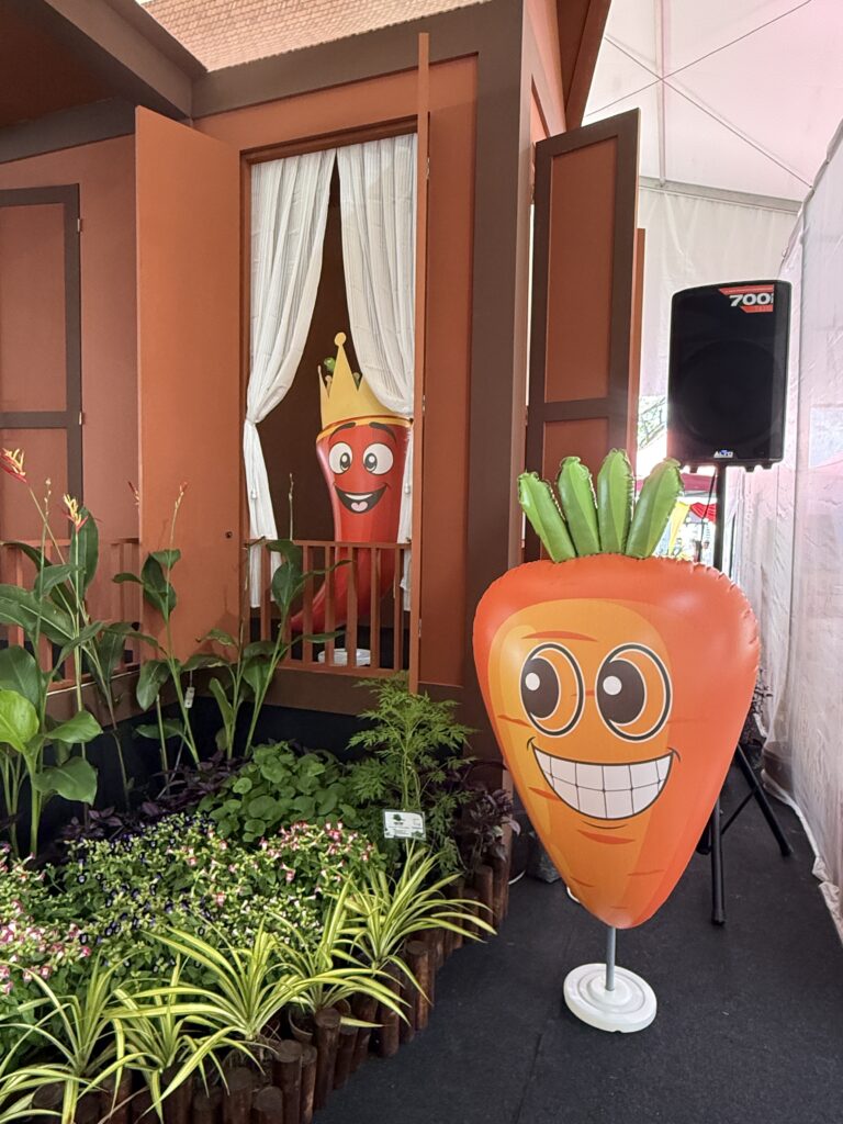 Vegetable Inflatable Replica at NS Fest 2025 in Nilai, Negeri Sembilan — photo 9