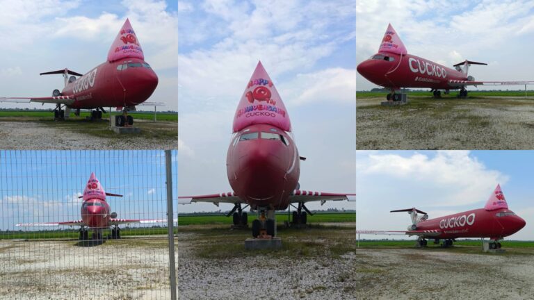 Cuckoo Inflatable Hat Replica on a plane